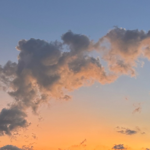 Meet your Posher, Josefa - Picture 1 of 1